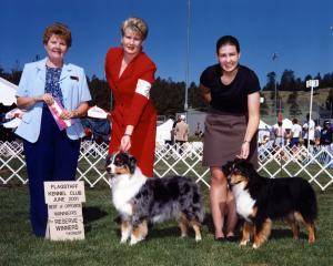 Zoe winning Winners Bitch, Best Opposite Sex and Best of Winners, and Clover winning Reserve Winners BItch at Flagstaff KC, Flagstaff AZ, June 2001.              